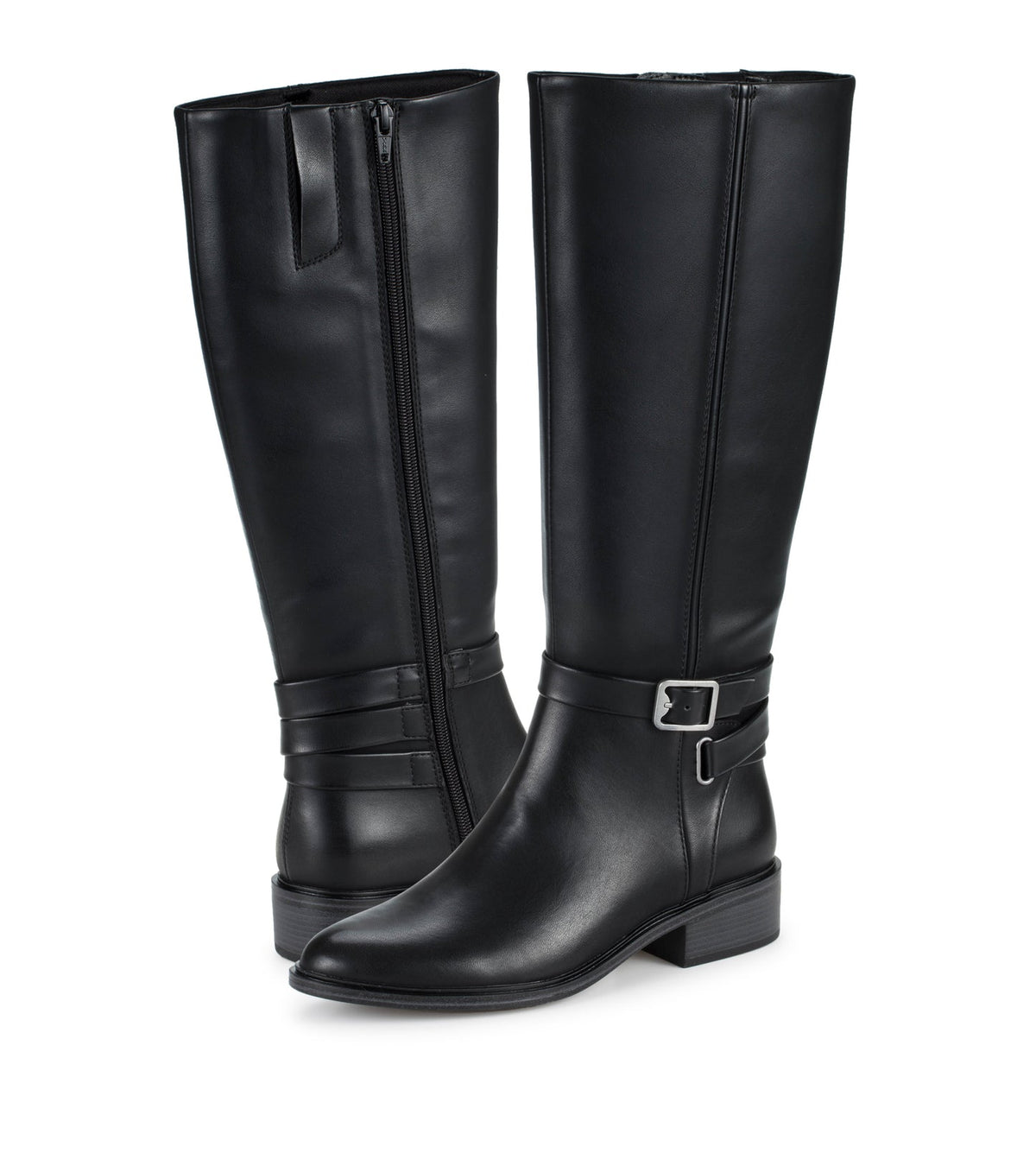 Audria Tall Boot | Baretraps