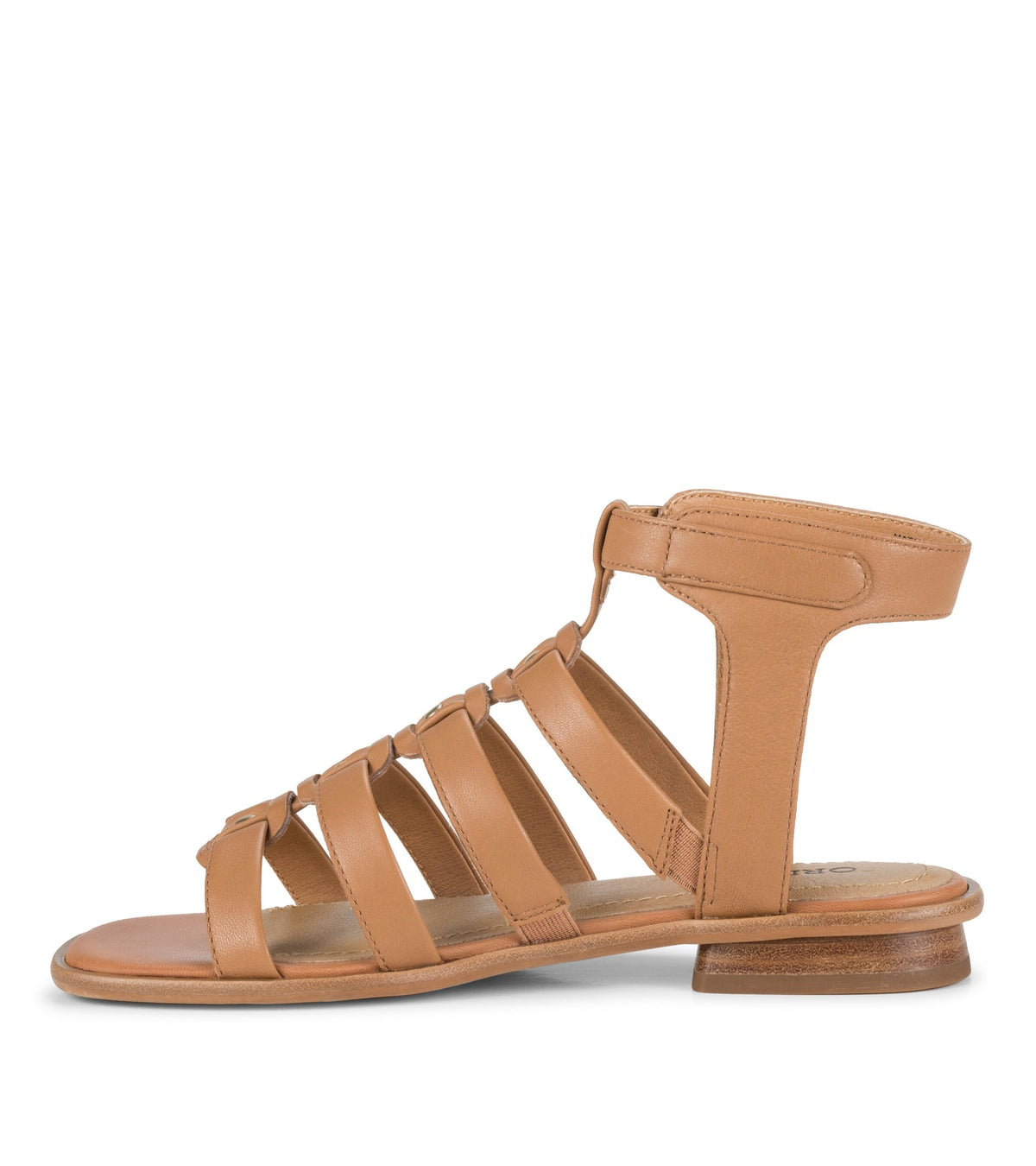 Nathalia Gladiator Sandal | Baretraps
