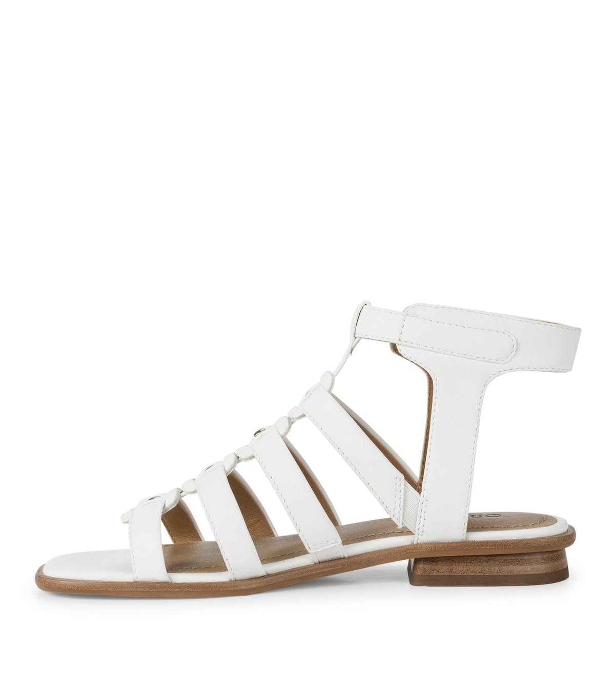 Nathalia Gladiator Sandal | Baretraps