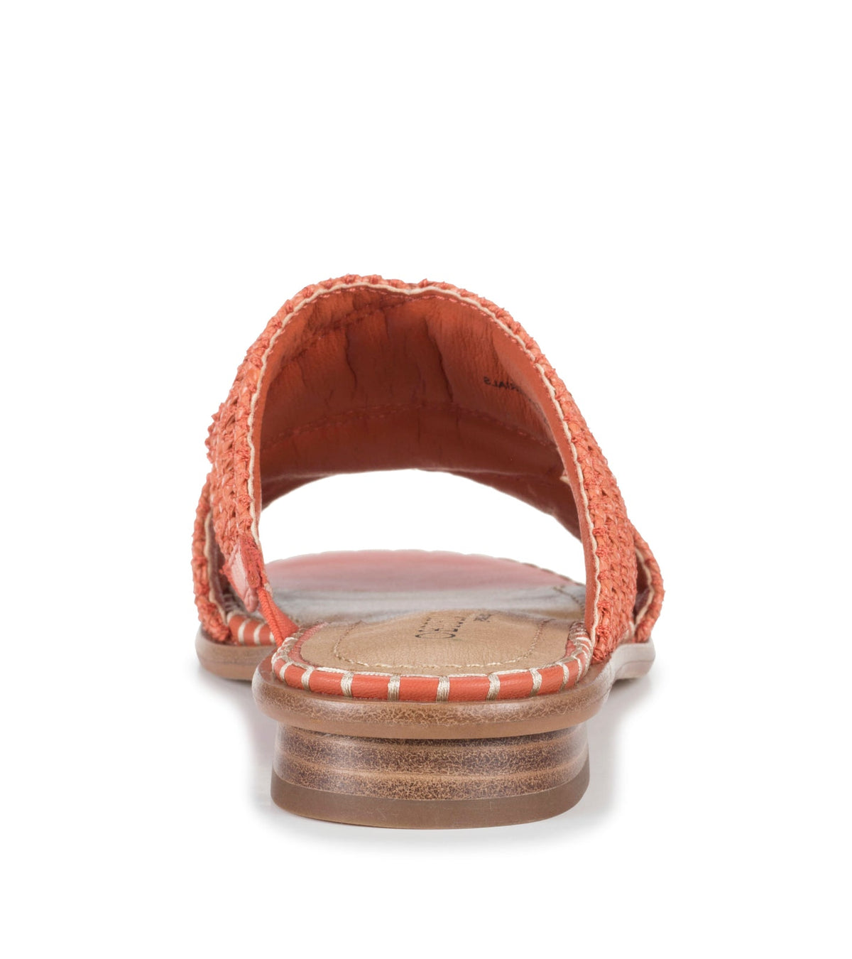 Navene Slide Sandal | Baretraps