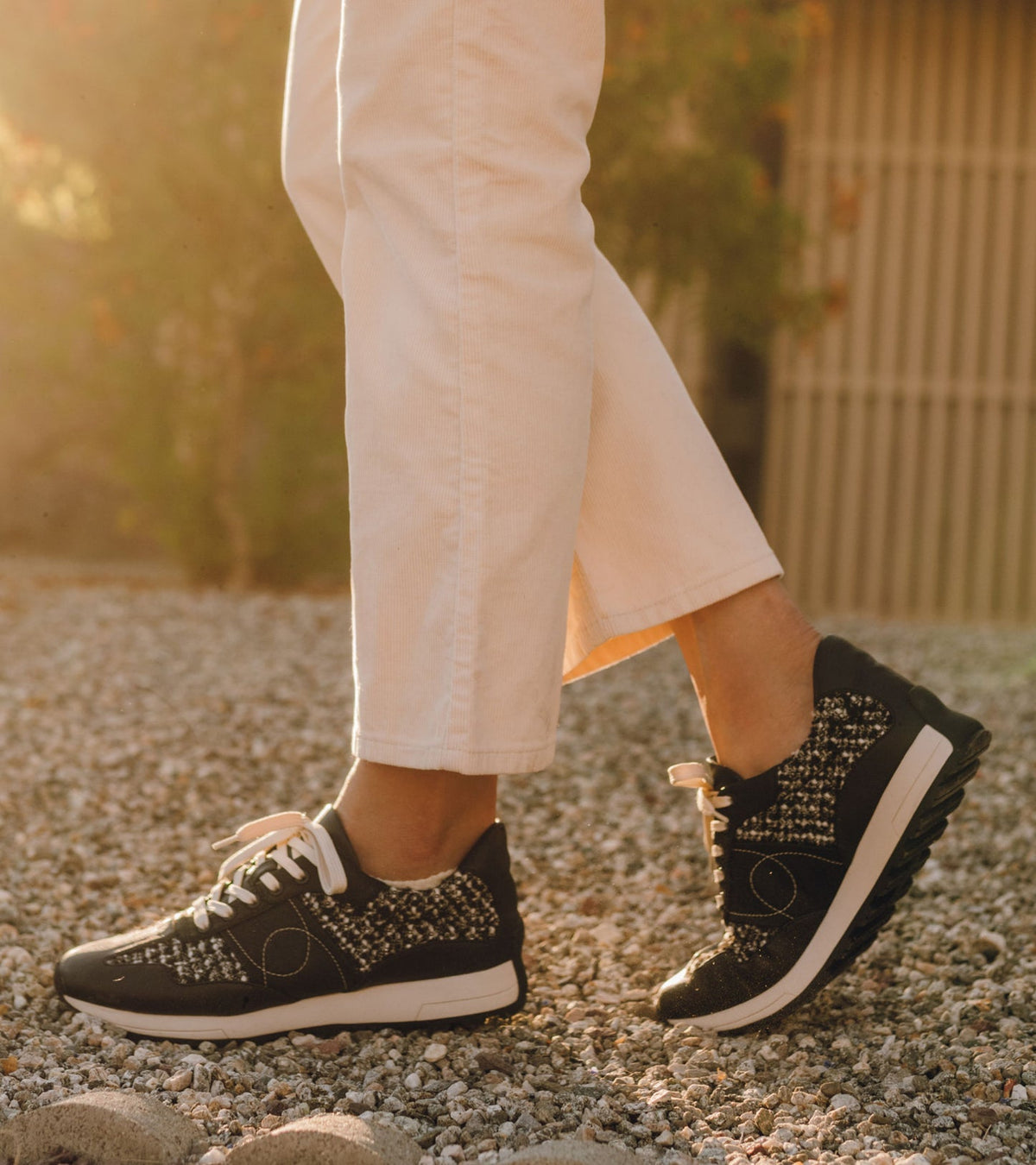 Gwenda Lace Up Sneaker | Baretraps