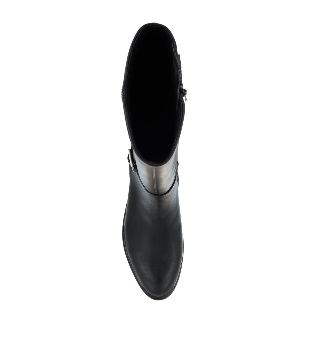 Audria Tall Boot | Baretraps