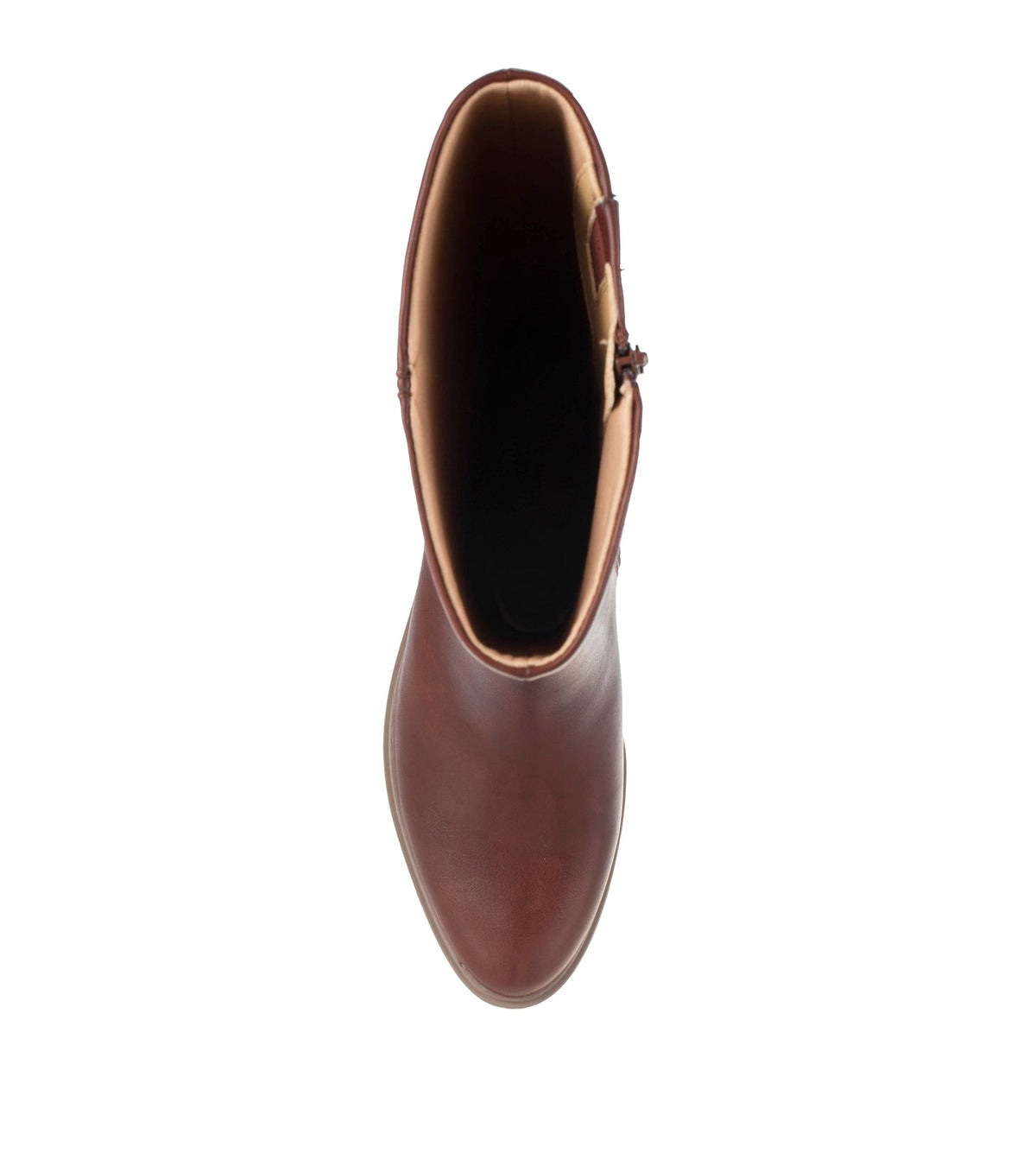 Audria Tall Boot | Baretraps