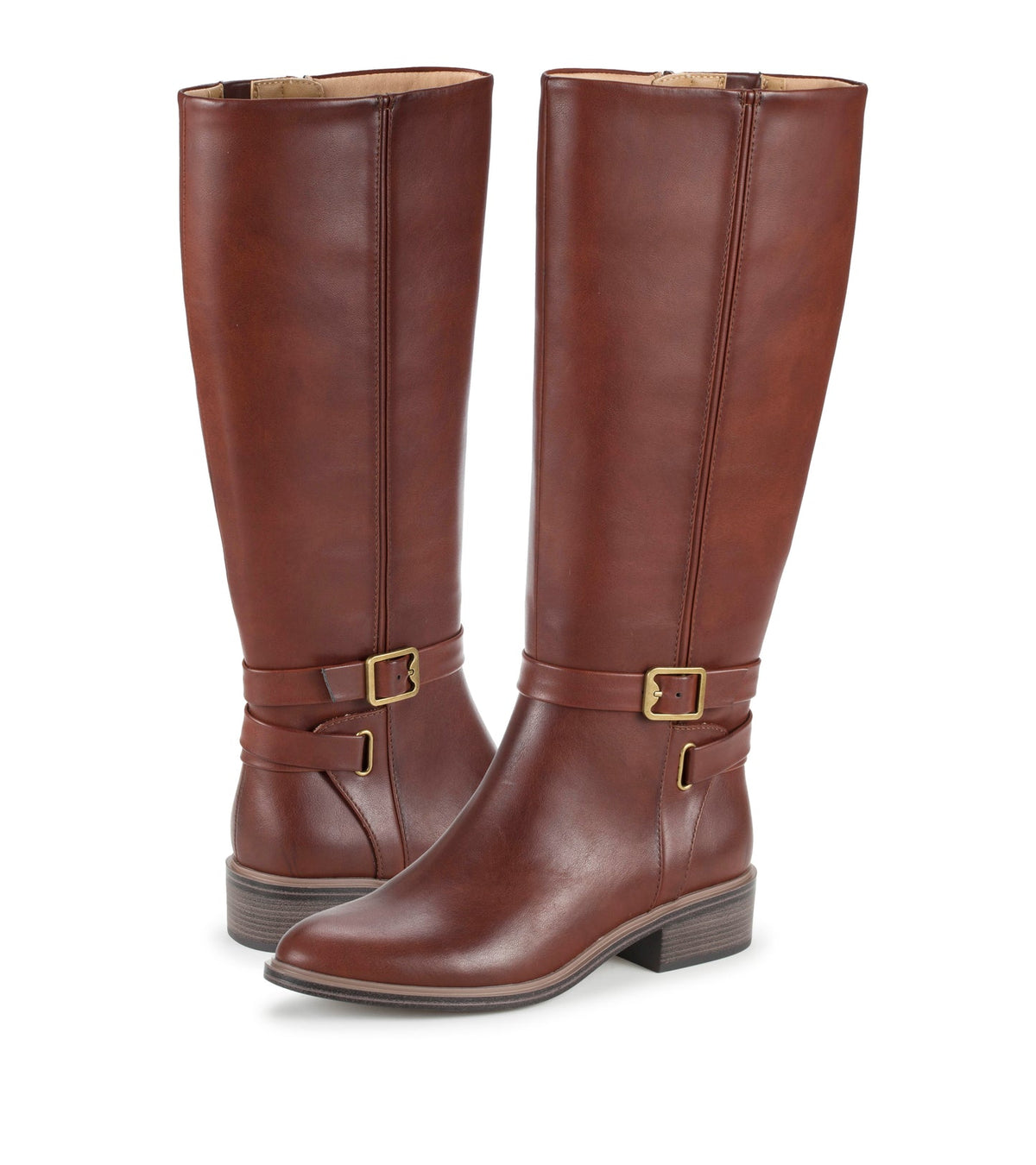 Audria Tall Boot | Baretraps