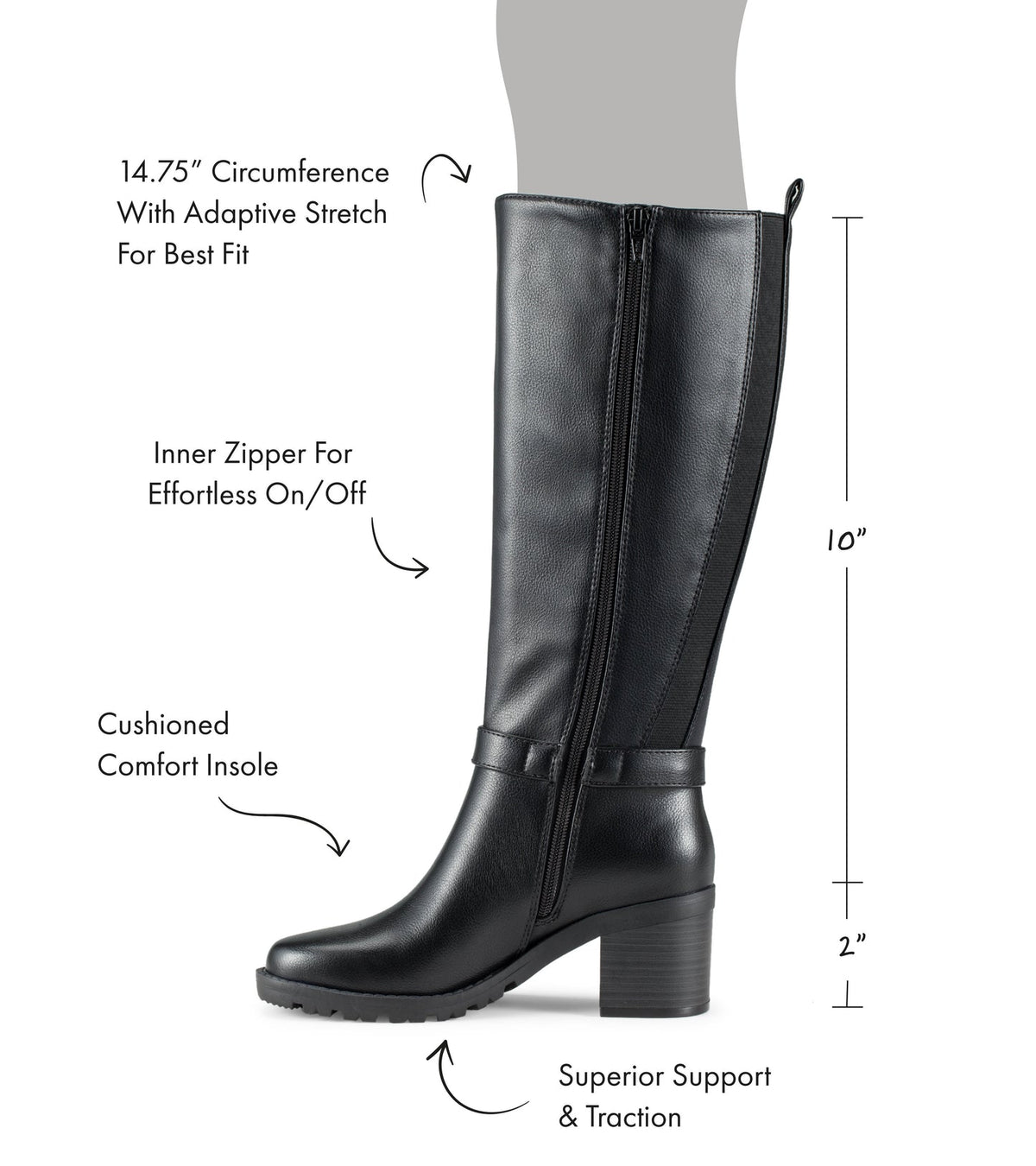 Dylia Tall Boot | Baretraps
