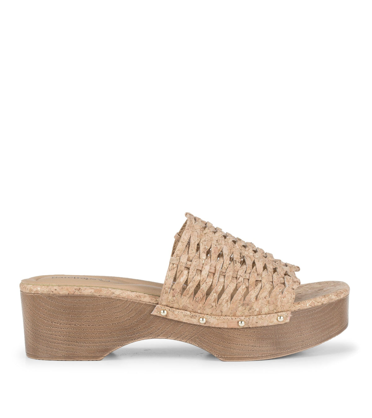 Helenna Slide Sandal | Baretraps