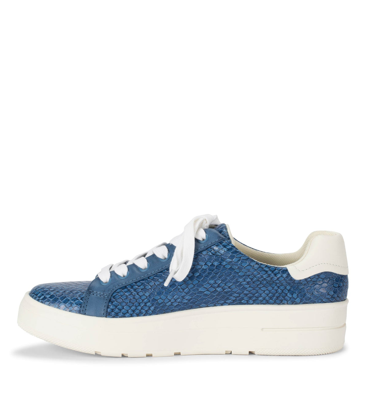 Nishelle Lace Up Sneaker | Baretraps