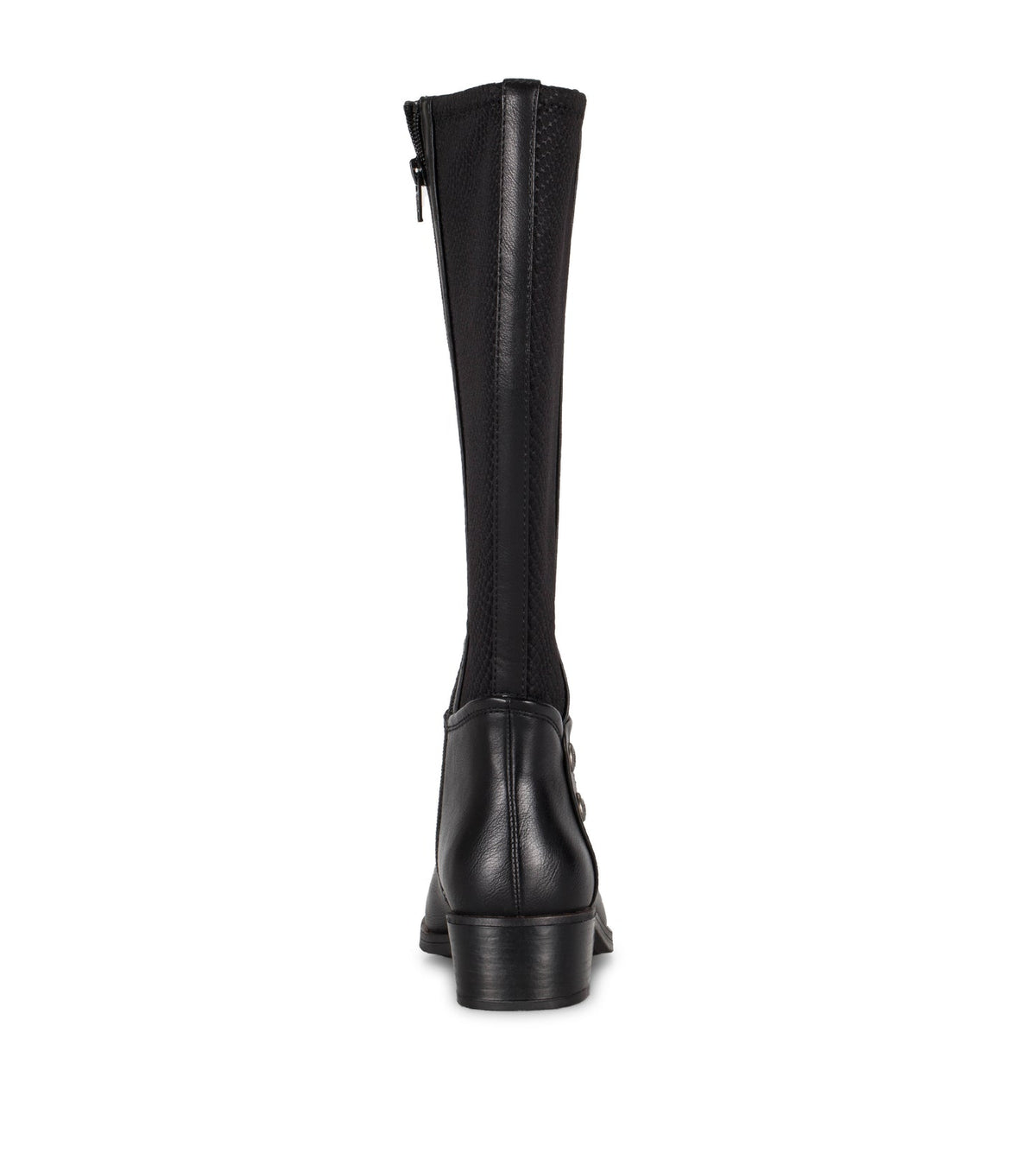 Madelyn Tall Boot | Baretraps