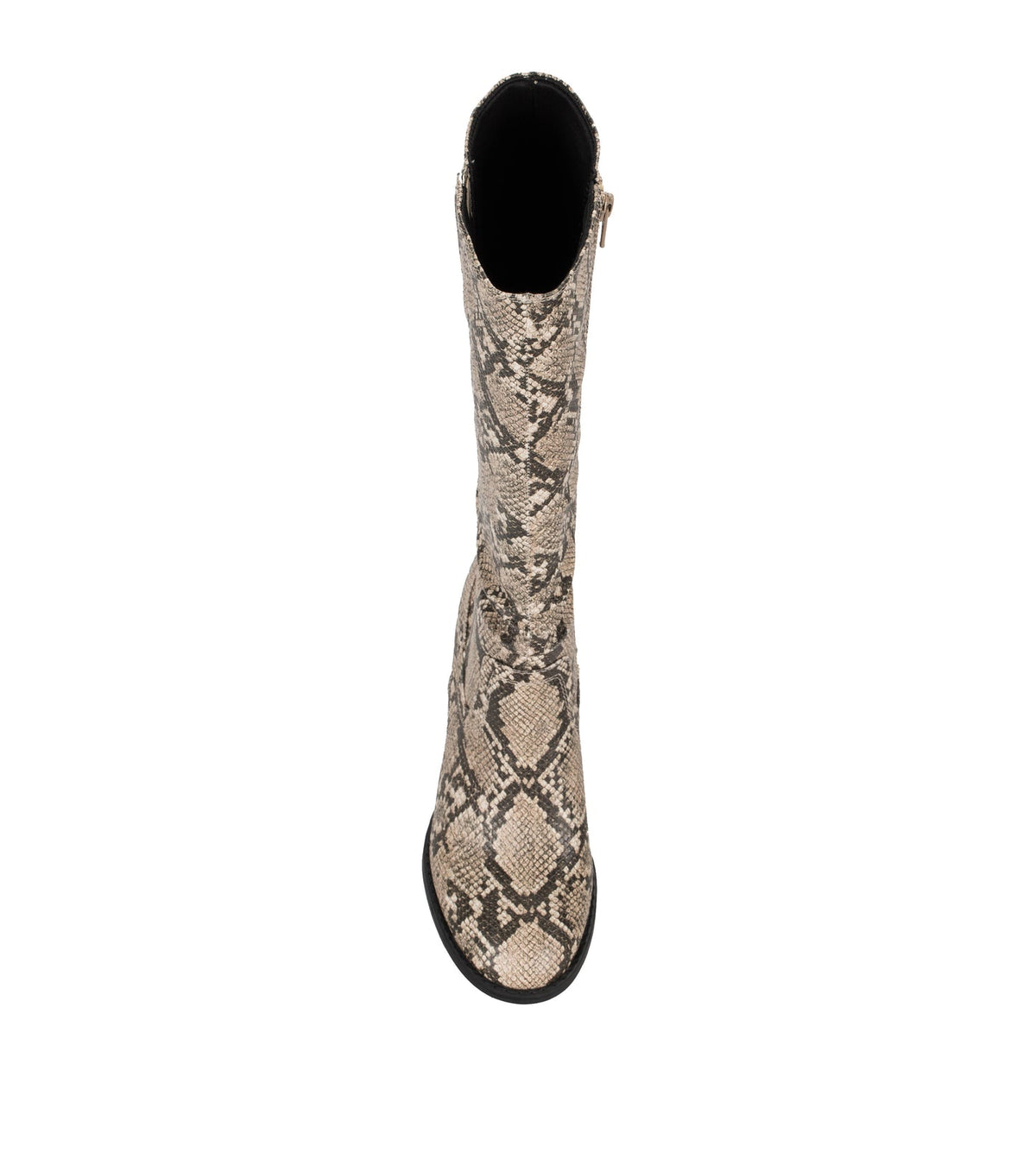 Lilly Tall Boot | Baretraps